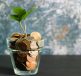 A glass pot filled with coins and a small plant growing from the top, symbolizing growth and investment.